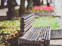 藤井树2016年3月星座运势