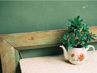 Julia Chen 2016年3月射手座运势