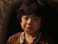 占卜你最容易受到离间的关系