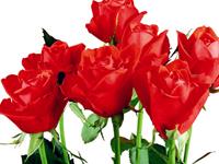 最近会被表白的生肖男