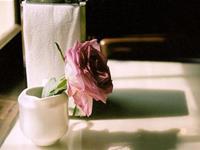 占卜谁能助你成功