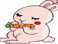 12生肖适合的春游地——兔