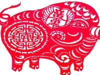 16年的生肖家装禁忌—猪