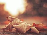 占卜你到底有多无情