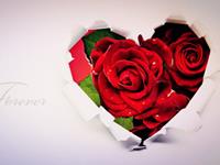 揭秘12星座在爱情上的优势