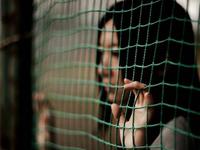 占卜你会掉进权利的陷阱吗