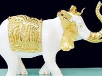 家里摆大象运气会旺