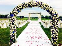 12生肖中还没玩够的男人