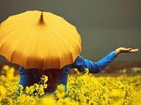 爱情里还是最爱自己的5大生肖