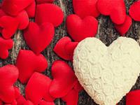 在一起可以互补的生肖