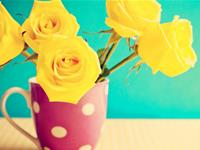 崇尚安逸自由生活的生肖