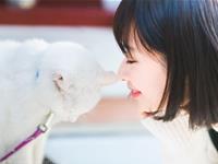 占卜你的感情生活还顺利吗