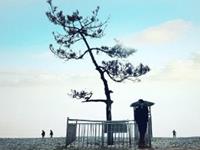 塔罗占卜你靠什么维系着感情