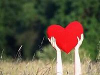 塔罗占卜他把你排在第一位吗