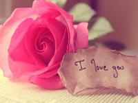 测试为啥没人愿意和你结婚