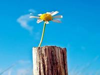 测试你职场的绊脚石