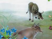 1961年属牛的人2017年运程