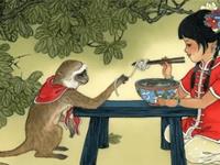 1992年属猴的人2017年运程