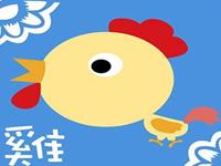 生肖鸡在几岁运气爆好