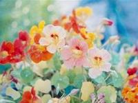 占卜你会怎样延续曾经的刻骨铭心