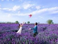 占卜对你来说什么才是真正的幸福