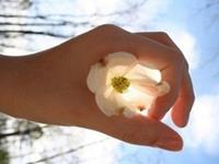 测哪一种情话你最无力抵抗