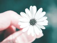 占卜对于他你是否应该放手了