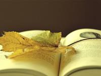 哪些生肖君最容易出口伤人