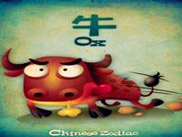 生肖牛致命的诱惑有啥