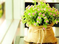 占卜你遇见喜欢的人会变莫名其妙吗