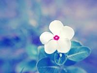 测你们现在的感情有多稳定