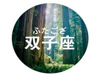 双子座该如何立足职场