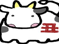 揭秘生肖牛女的雷区