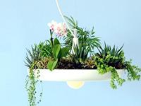 测你是哪种“草根”范儿