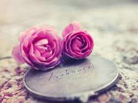 剪不断旧爱的生肖女