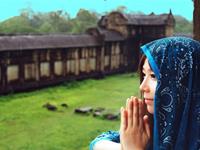 A型血君的前任婚礼攻略