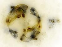 双鱼座的专属宋词