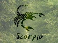 女票住处遭天灾，天蝎男是何反应