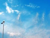 狮子座新月许愿指南