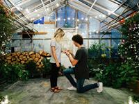 占卜你身边是否有喜欢你的人