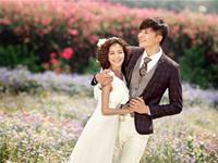 平淡是真的星座配对