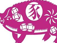 近期内生肖猪的健康状况