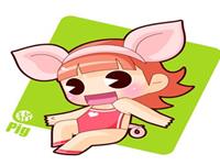 属于生肖猪的守护菩萨