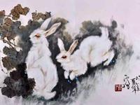 生肖兔被甩之后的表现