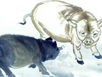 生肖猪中秋出游最强攻略