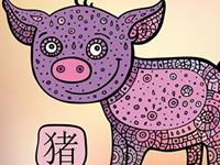 生肖猪会因为什么步入婚姻