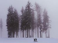 占卜你最近是否有好运