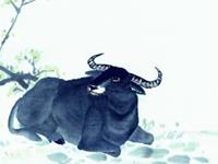 生肖牛什么年龄段有可能一夜暴富