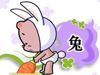 揭秘生肖兔的恋爱特点