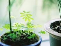 天秤女伤心时会送自己什么礼物